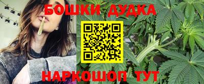 дживик Лесосибирск