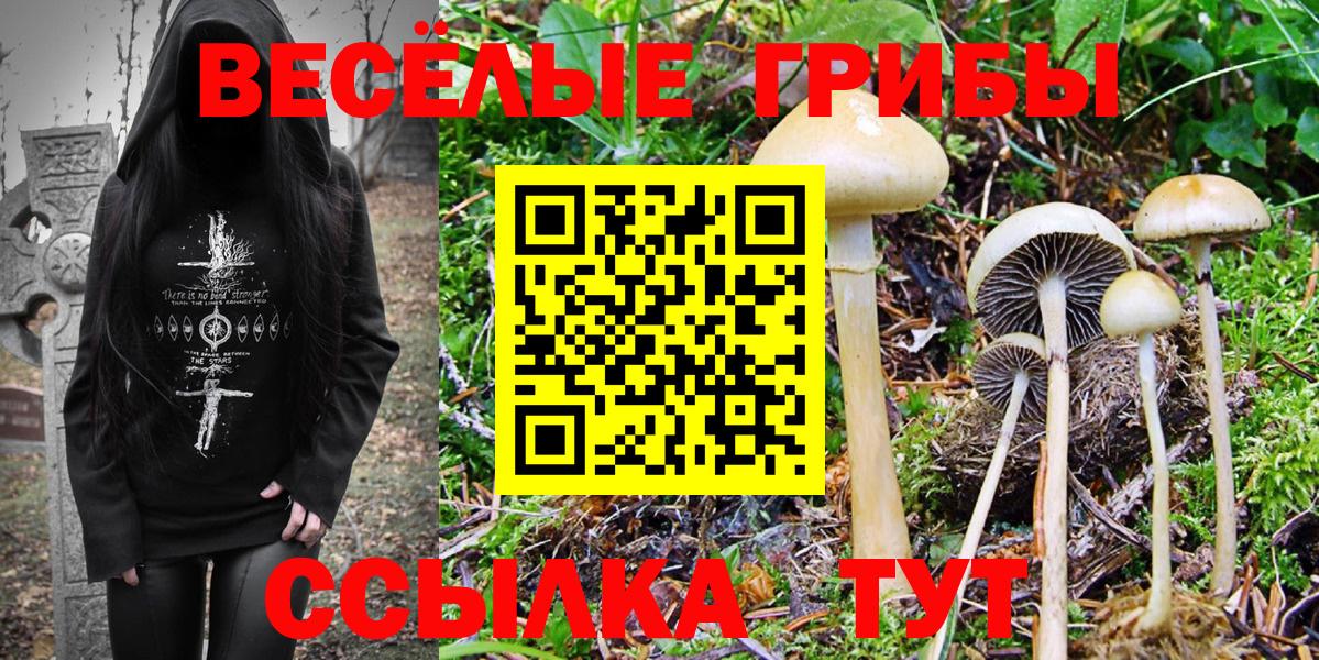 Галлюциногенные грибы Magic Shrooms  Вход с VPN  Щёлково 